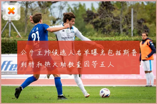 公牛主帅候选人名单曝光包括斯普利特和热火助教奎因等五人